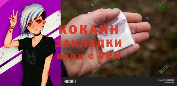 COCAINE Богородицк